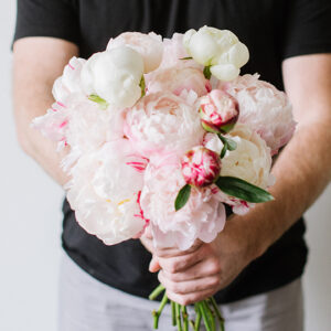 Amborella Floral Delivery Calgary - Weekly Peony Subscription Product Photo