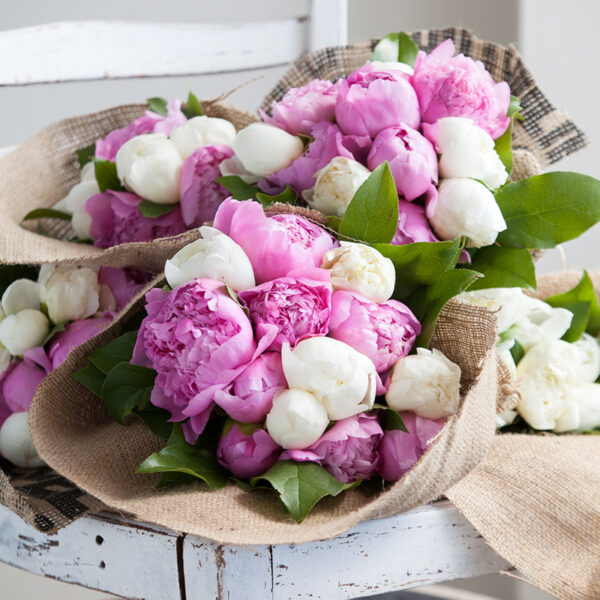 Peonies in a burlap bouquet