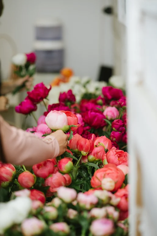 Amborella Floral Deliver Calgary - Peony Workshop